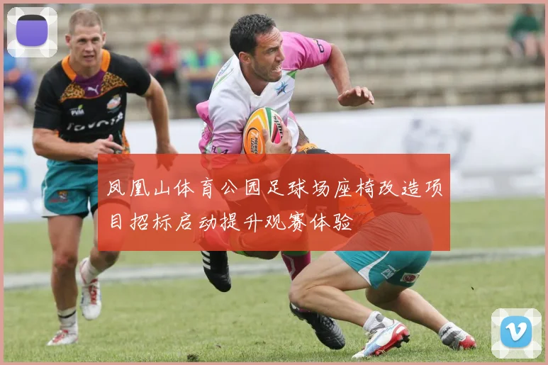 凤凰山体育公园足球场座椅改造项目招标启动提升观赛体验