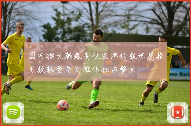 国内擅长瀚森高位发牌的教练屈指可数韩登与刘维伟独占鳌头